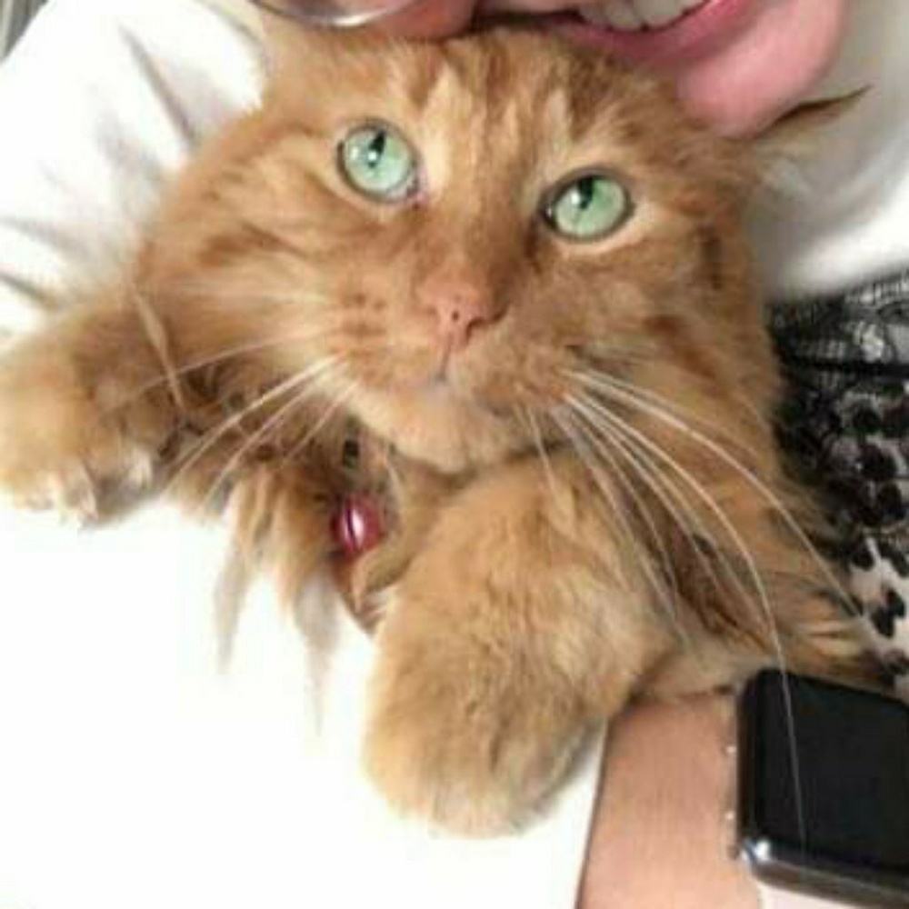 Meet your Posher, Brenna